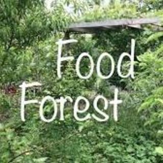 Food Forest