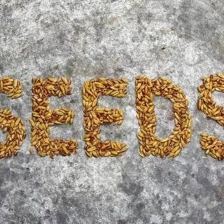 Seeds
