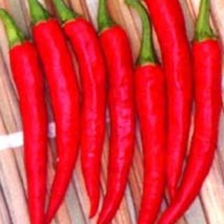 Chilli Asian Fire