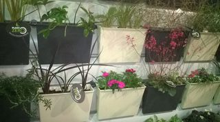 BRAND NEW TO NZ - Thin Pots Now available