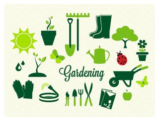 Activities for June/July